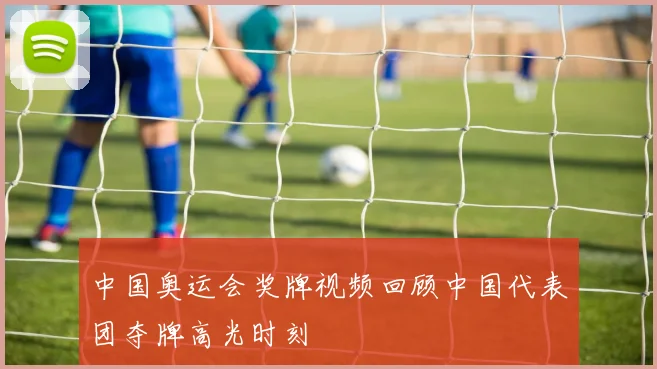 中国奥运会奖牌视频回顾中国代表团夺牌高光时刻