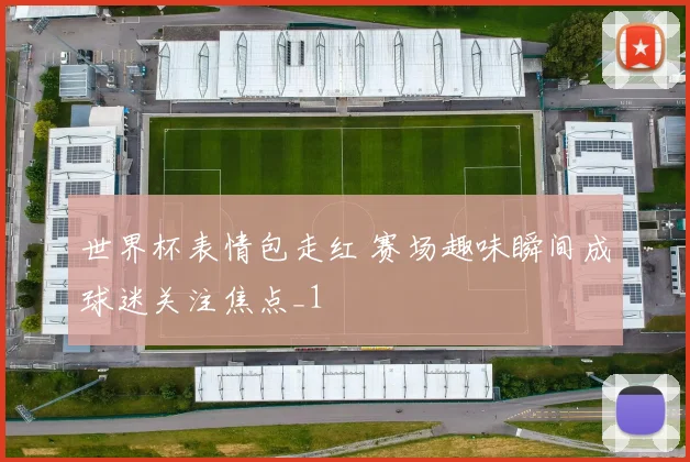 世界杯表情包走红 赛场趣味瞬间成球迷关注焦点_1