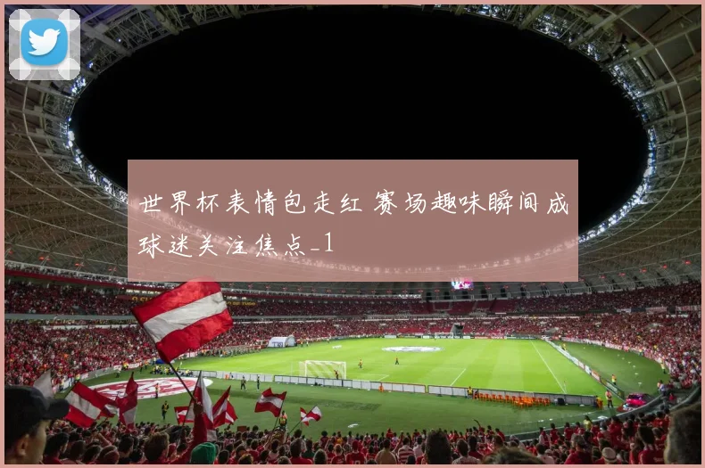 世界杯表情包走红 赛场趣味瞬间成球迷关注焦点_1