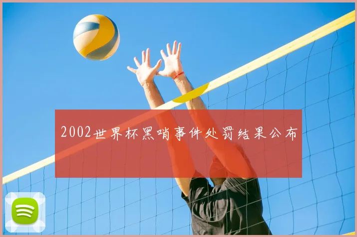 2002世界杯黑哨事件处罚结果公布