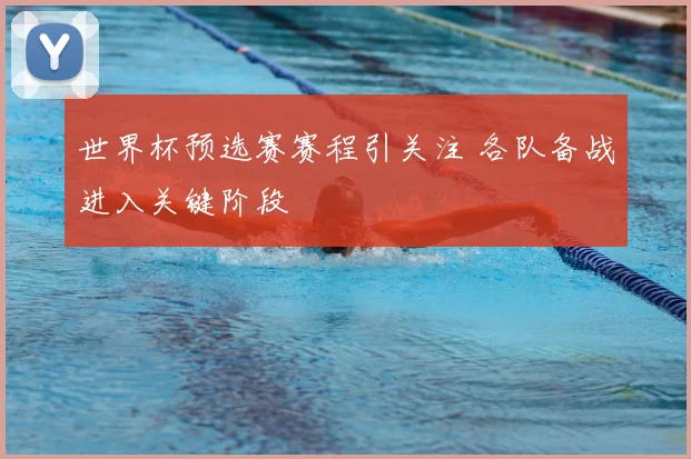 世界杯预选赛赛程引关注 各队备战进入关键阶段