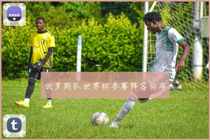 俄罗斯队世界杯参赛阵容公布
