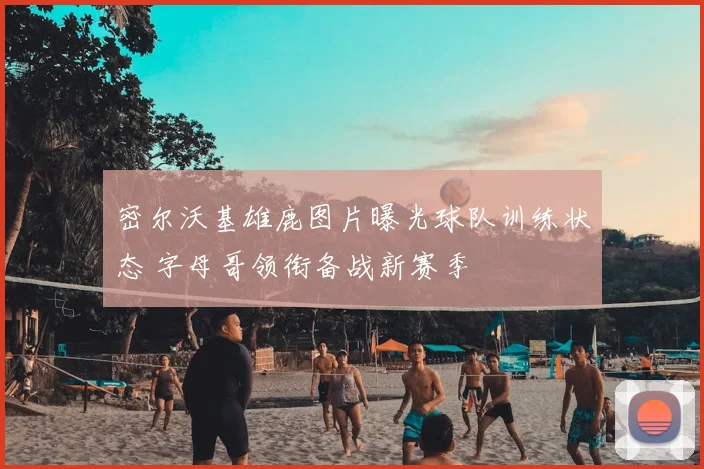 密尔沃基雄鹿图片曝光球队训练状态 字母哥领衔备战新赛季